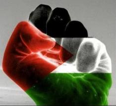 Palestine Fist