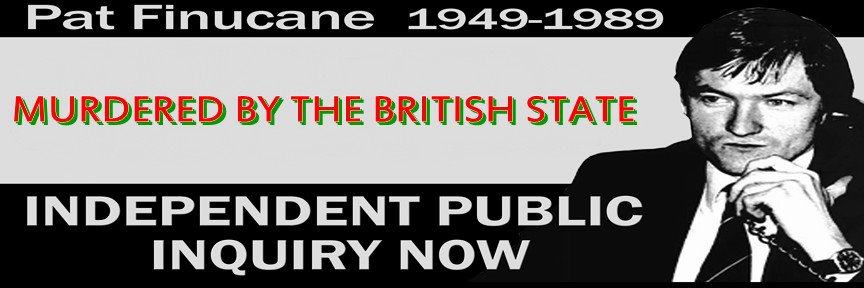 Pat Finucan Public Inq Now